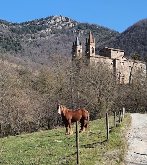 El Mussol De La Vila Camprodon, Balconets Amb Vistes A La Placa Extérieur photo